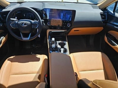 2025 Lexus NX 350h PREMIUM Premium