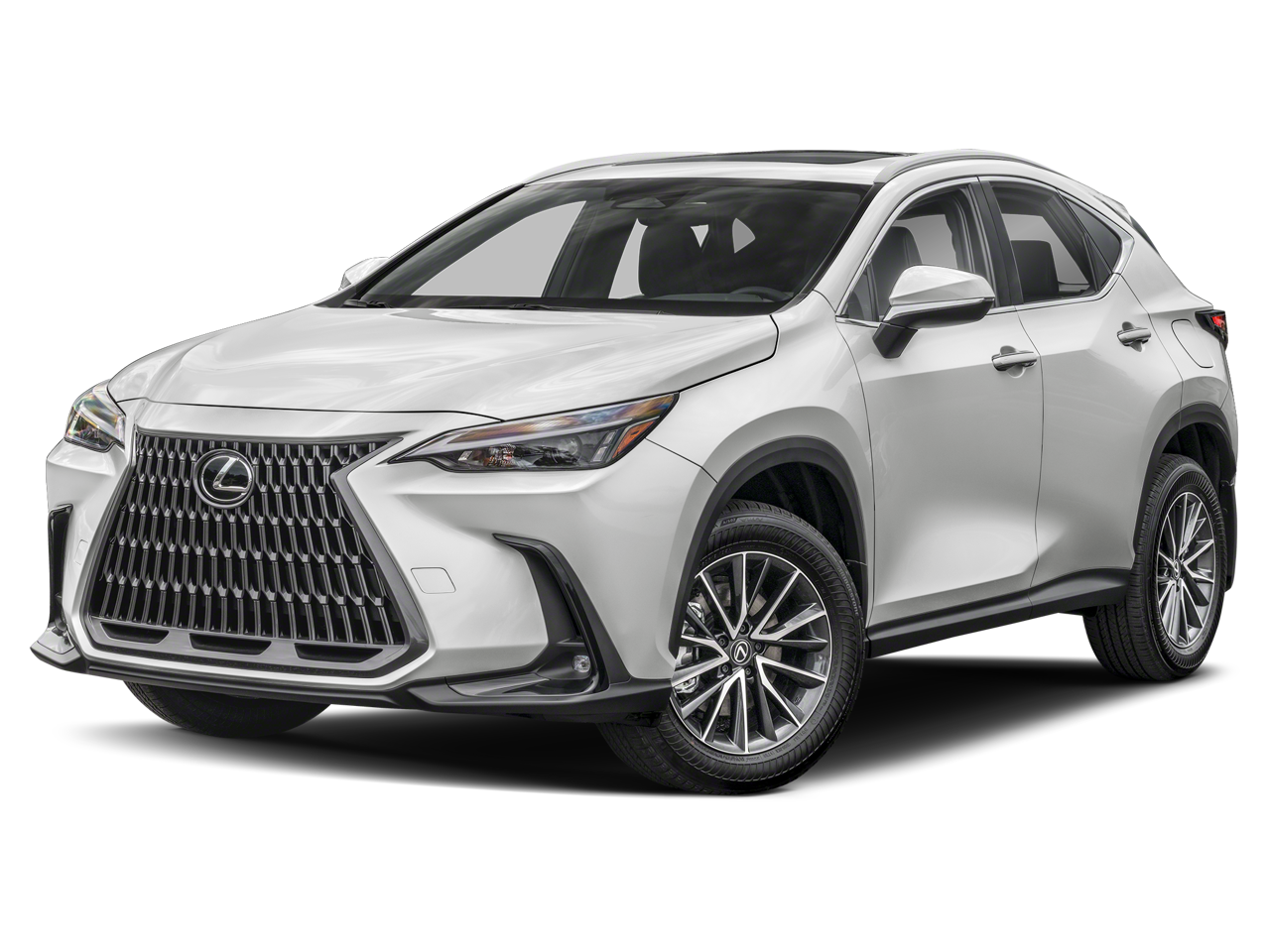 2025 Lexus NX Premium