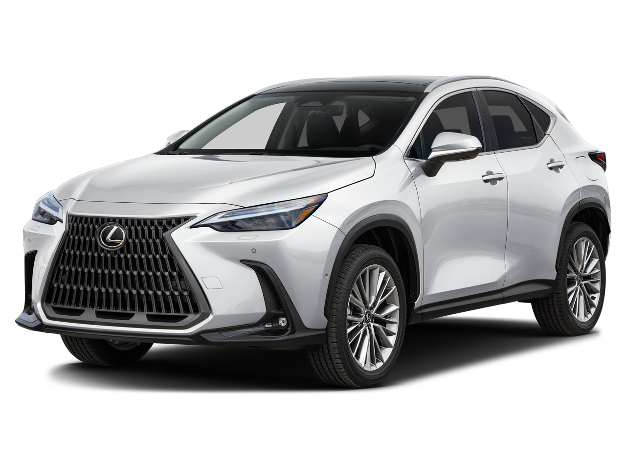 2026 Lexus NX 350h 350h Luxury AWD's photo
