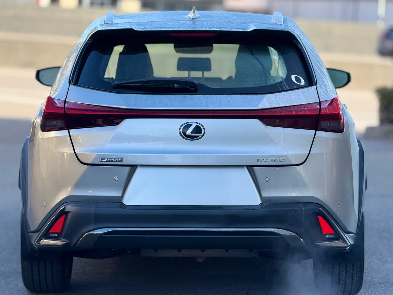 2019 Lexus UX F SPORT