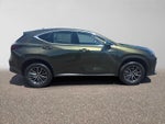 2026 Lexus NX 350 AWD