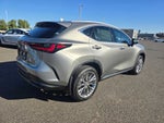 2026 Lexus NX 350h LUXURY AWD