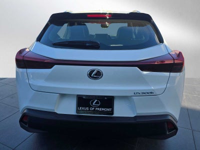 2026 Lexus UX 300h UX 300h