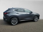 2026 Lexus NX 350h LUXURY AWD