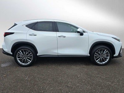 2026 Lexus NX 350h LUXURY AWD