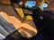 2026 Lexus NX 450h+ Luxury