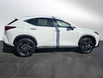2026 Lexus NX 450h PLUS LUXURY AWD