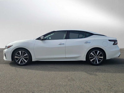 2023 Nissan Maxima SV
