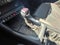 2025 Audi Q3 S line Premium Plus