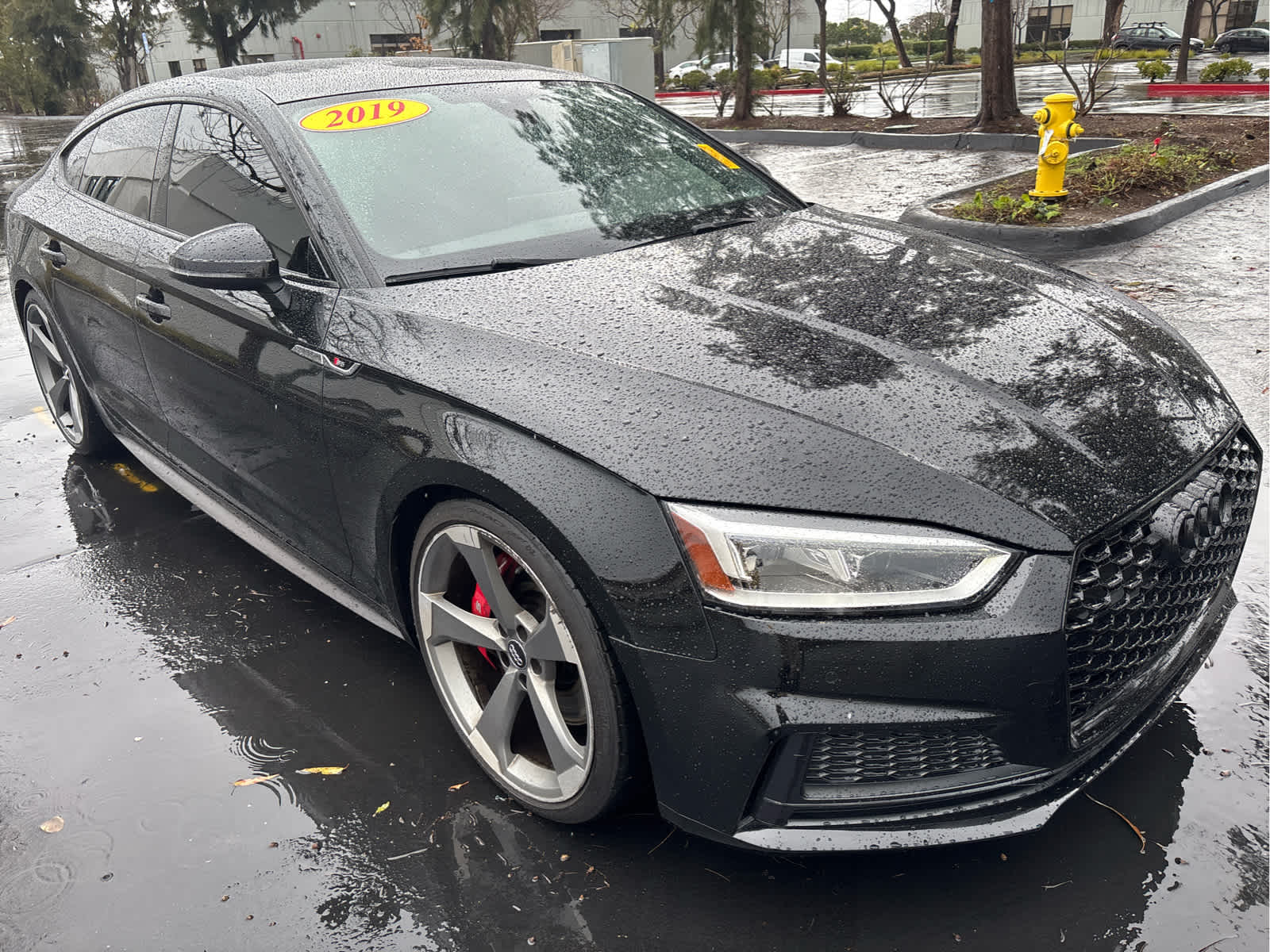 2019 Audi S5 Sportback Premium Plus