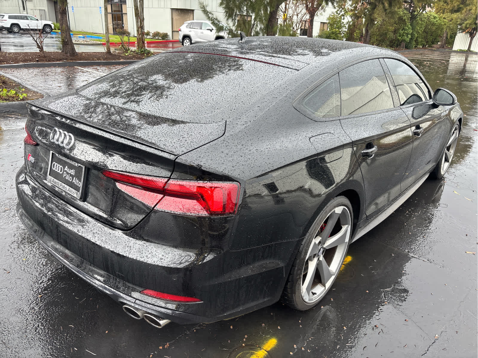 2019 Audi S5 Sportback Premium Plus