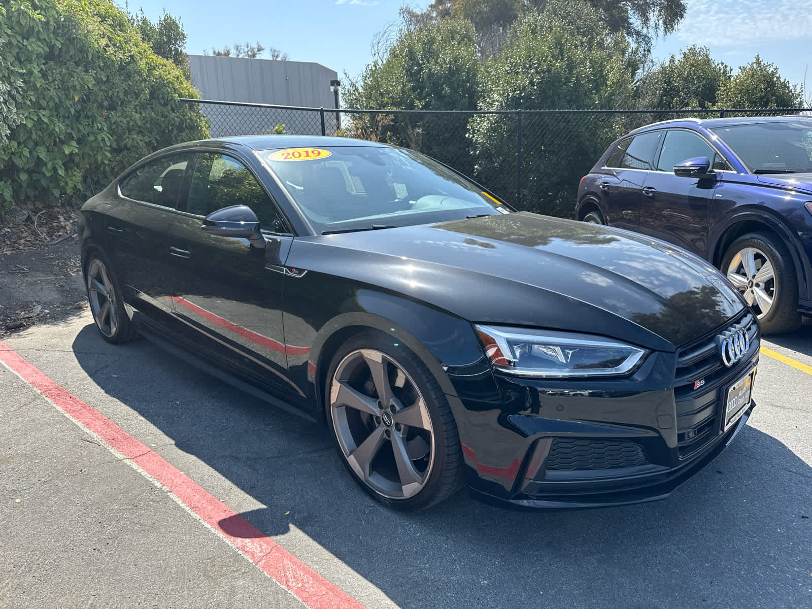 2019 Audi S5 Sportback Premium Plus