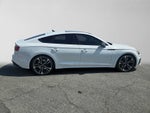 2023 Audi S5 Sportback Premium Plus
