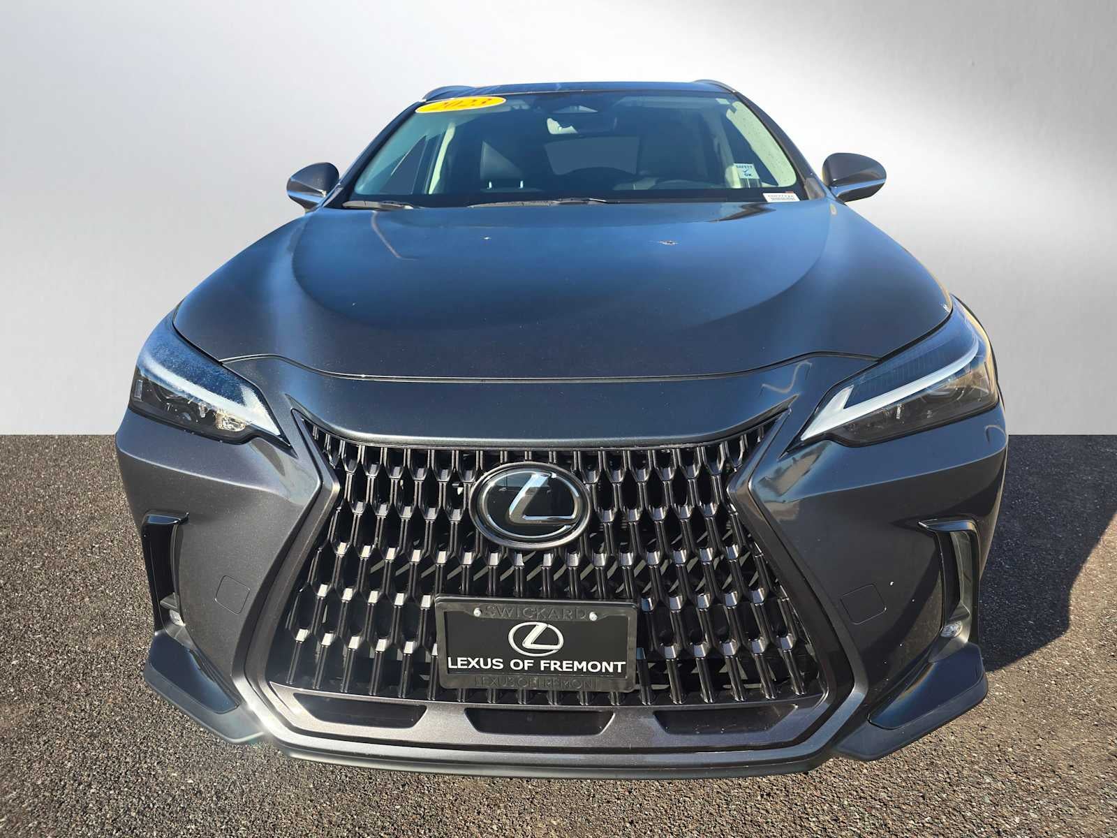 2023 Lexus NX NX 250