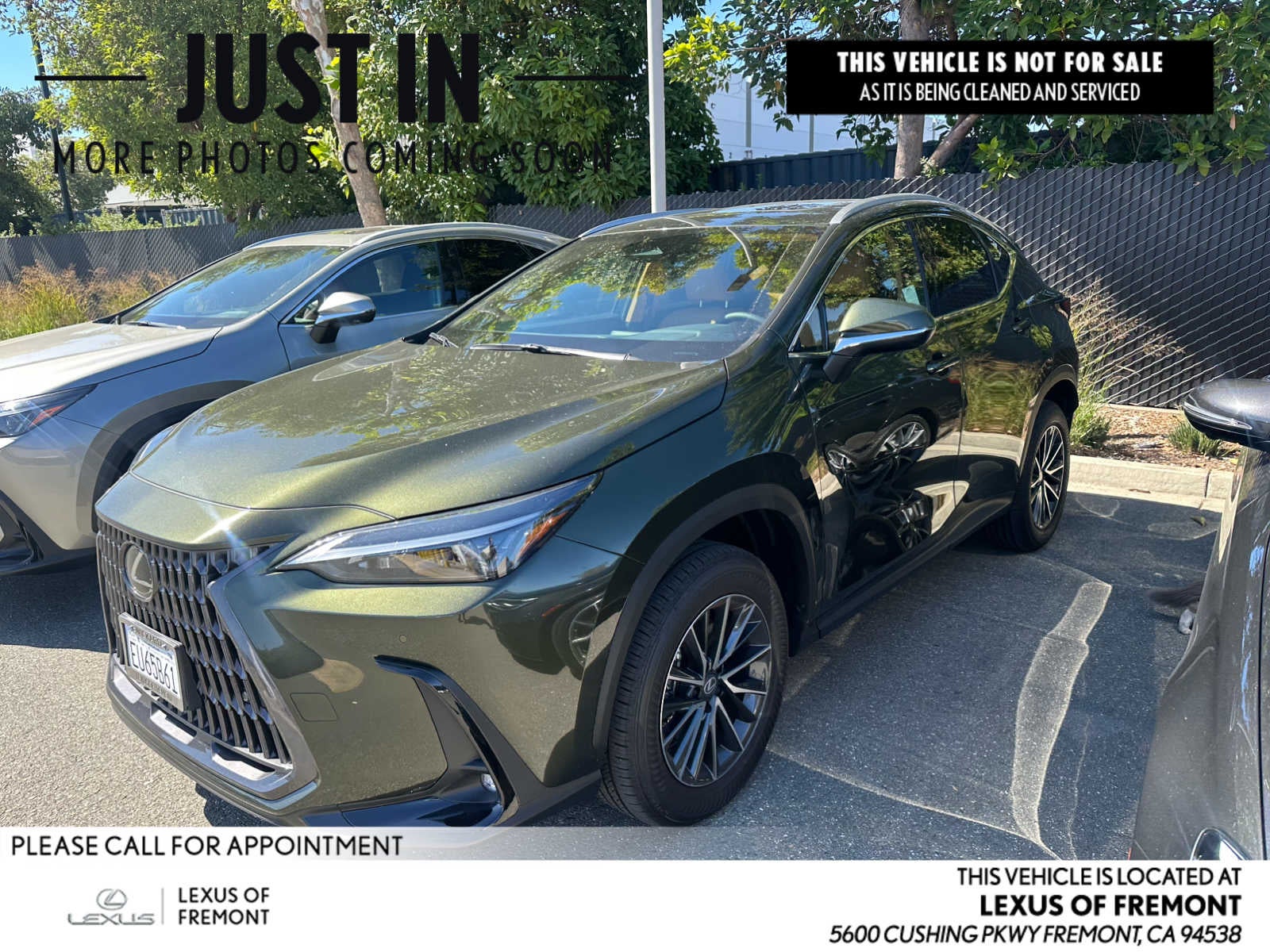 2026 Lexus NX 350 NX 350