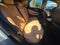 2026 Lexus NX 350 NX 350