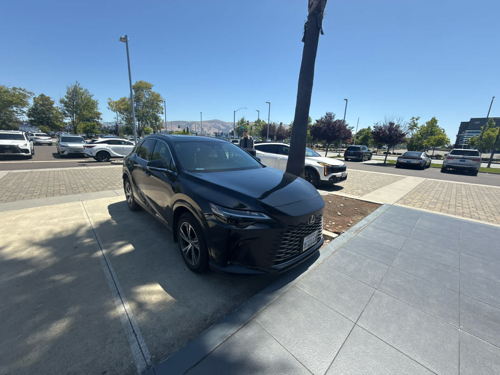 2023 Lexus RX 350 Premium