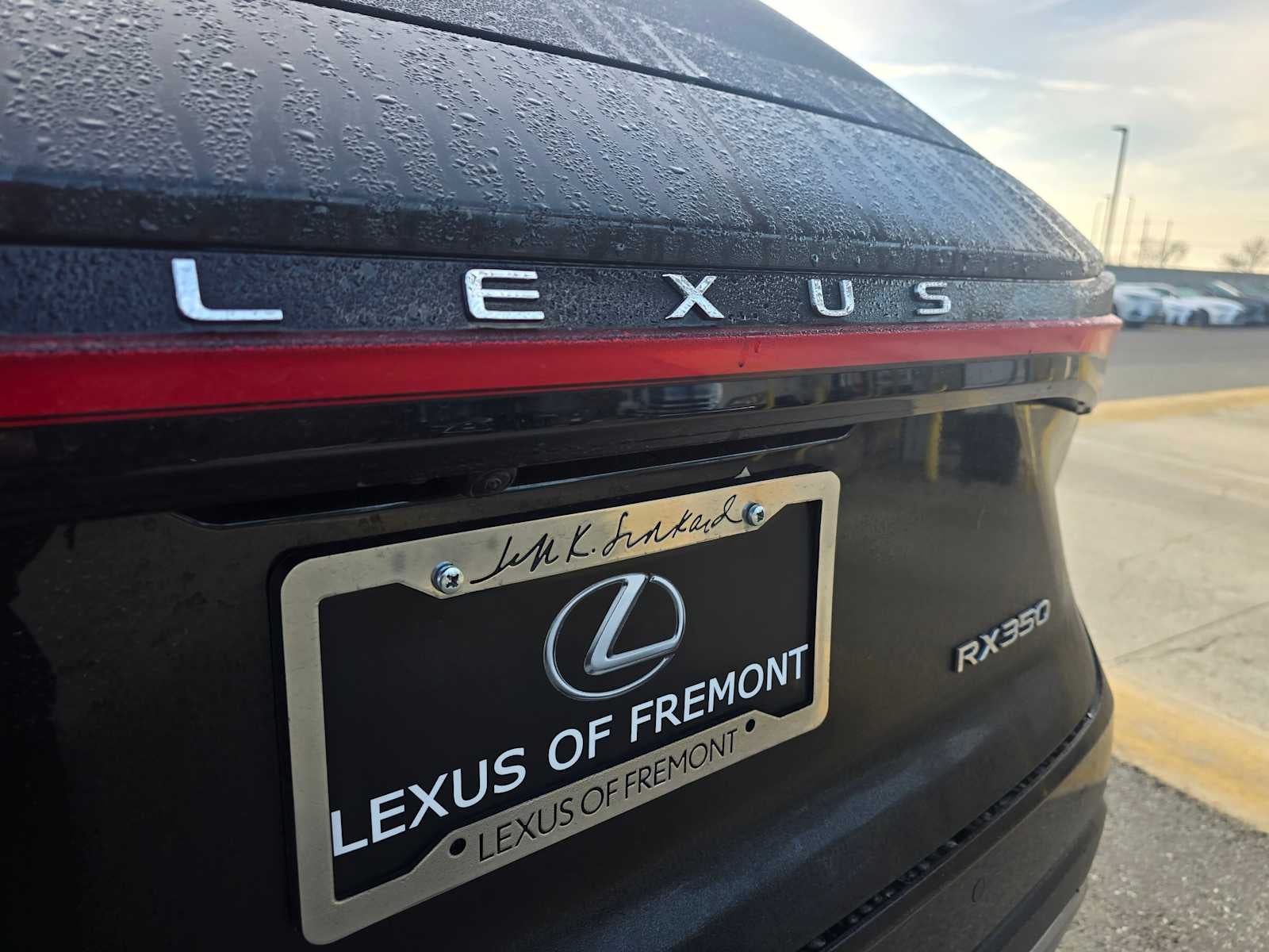 2025 Lexus RX 350 PREMIUM