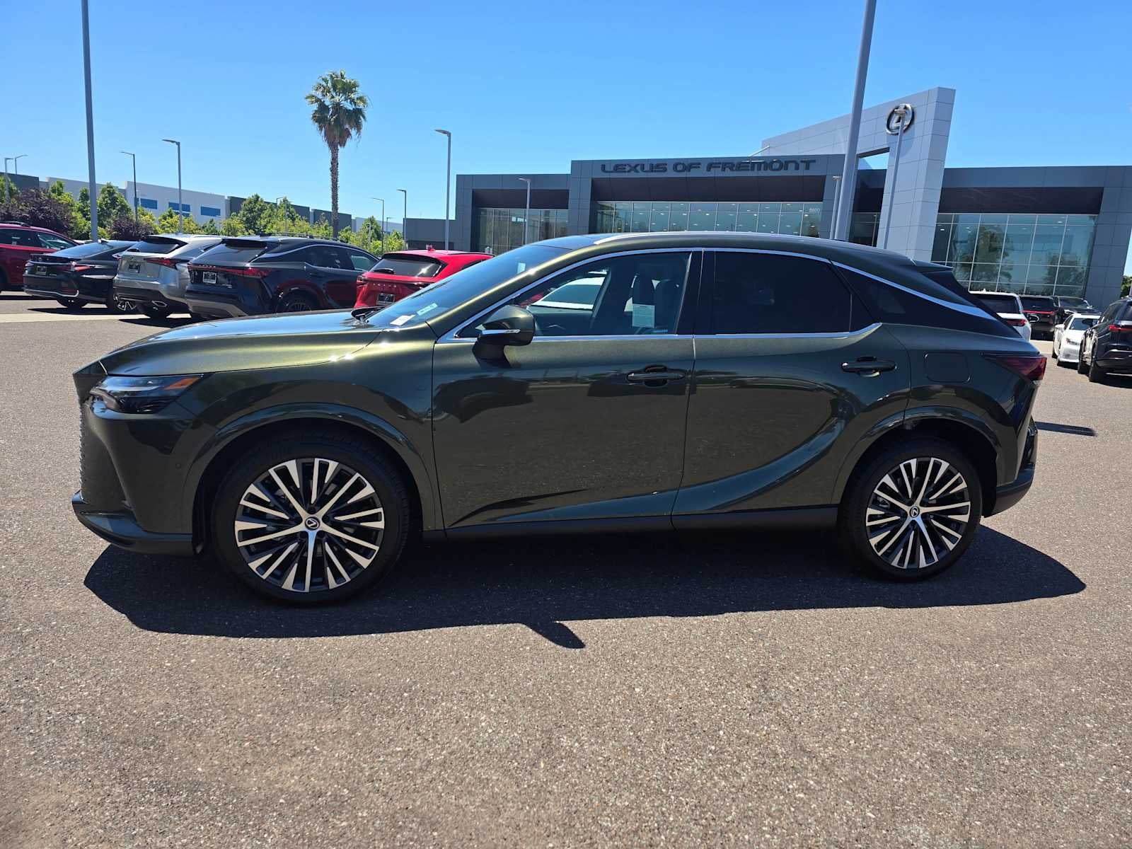 2025 Lexus RX 350h PREMIUM PLUS