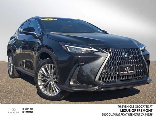 2025 Lexus NX 350 Premium