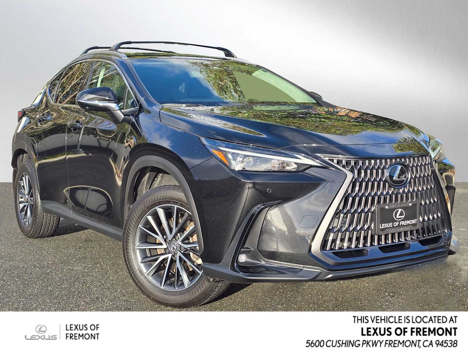 2025 Lexus NX Premium
