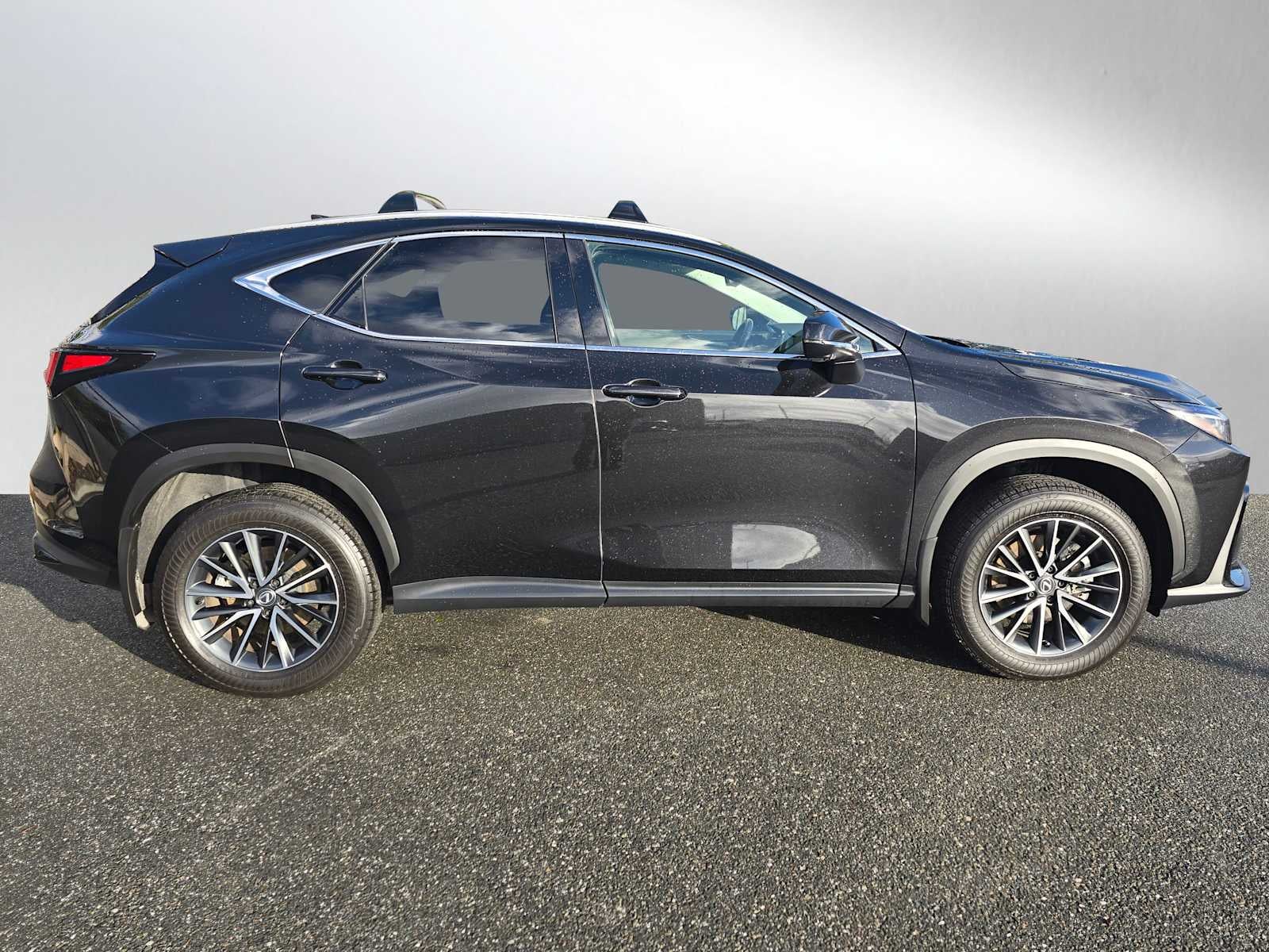 2025 Lexus NX Premium