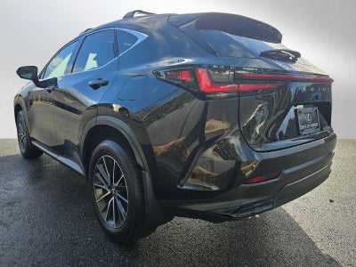 2025 Lexus NX Premium