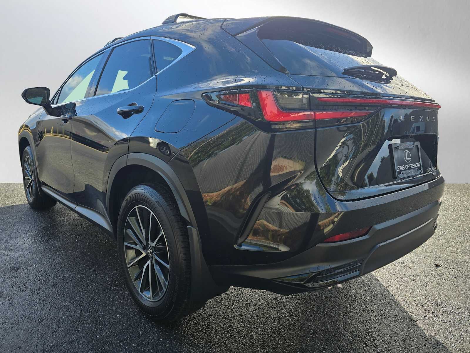 2025 Lexus NX Premium