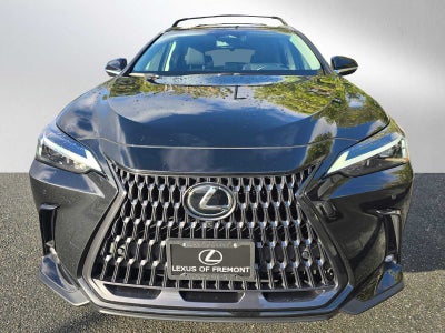 2025 Lexus NX Premium