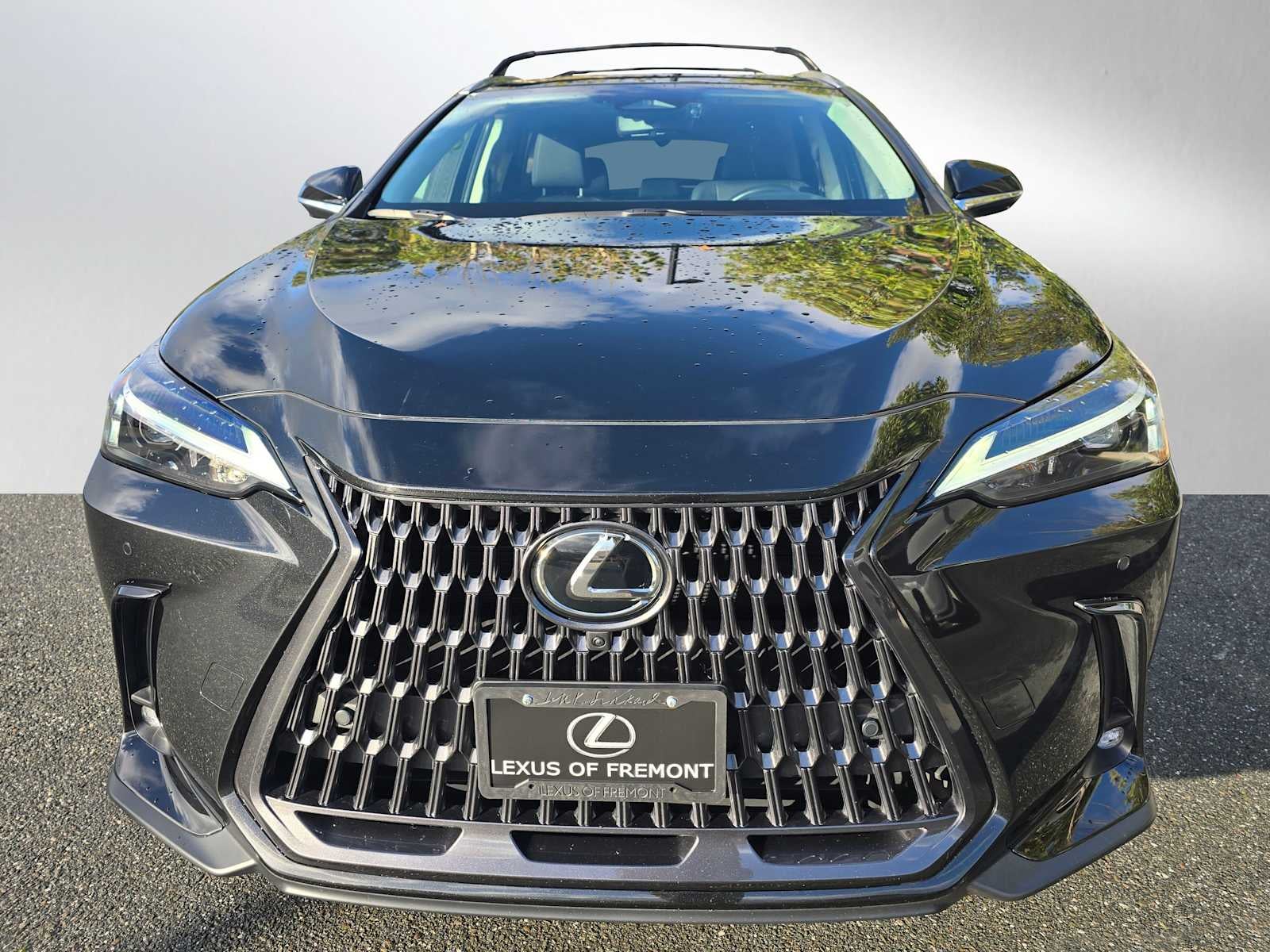 2025 Lexus NX Premium