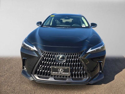 2024 Lexus NX 350h PREMIUM