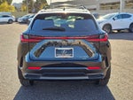 2024 Lexus NX 350h Premium
