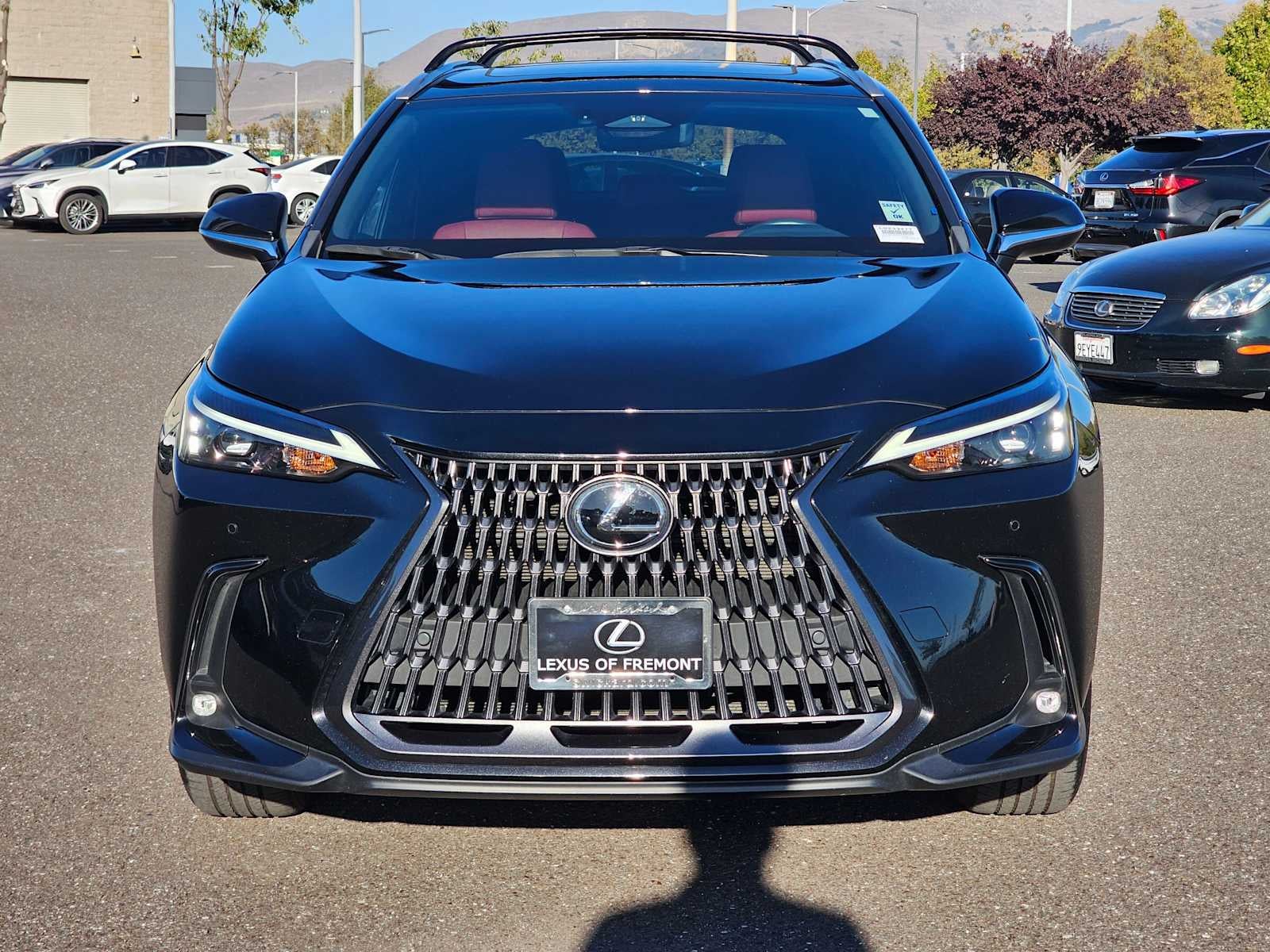 2024 Lexus NX 350h Premium