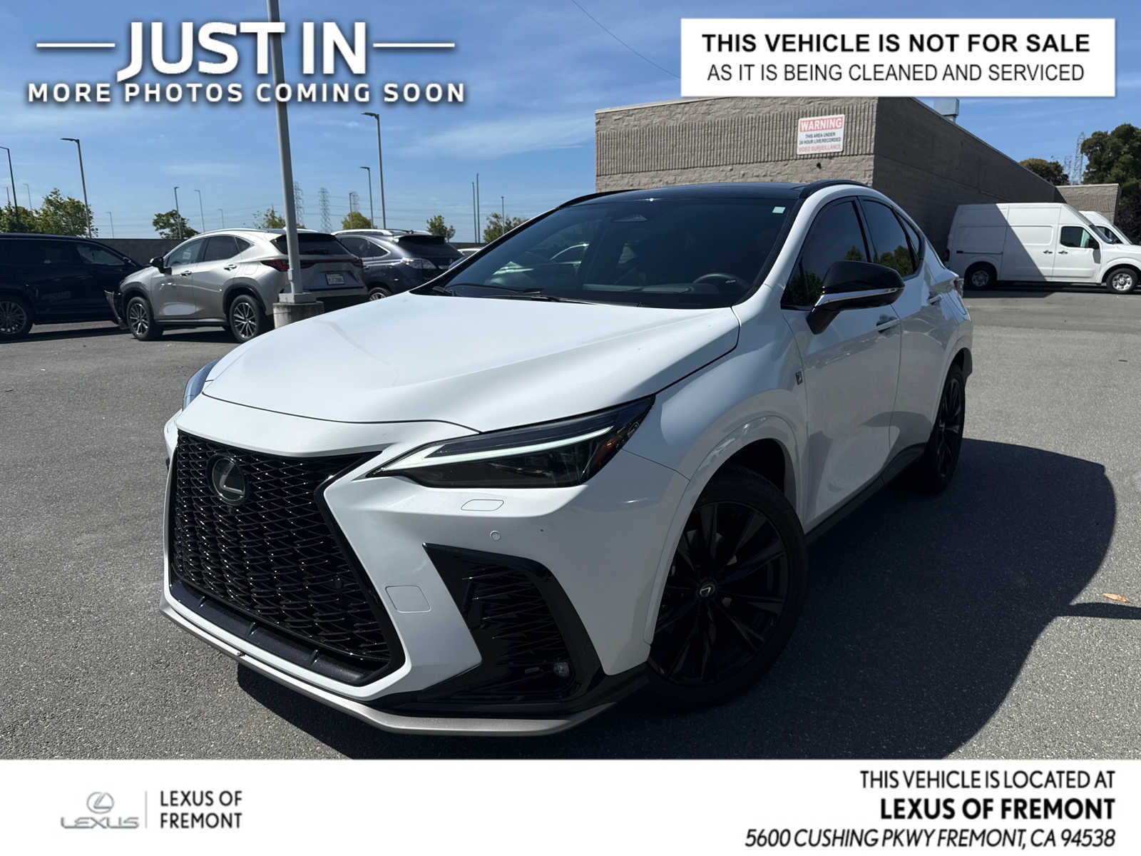 2025 Lexus NX 350 350 F-Sport AWD's photo