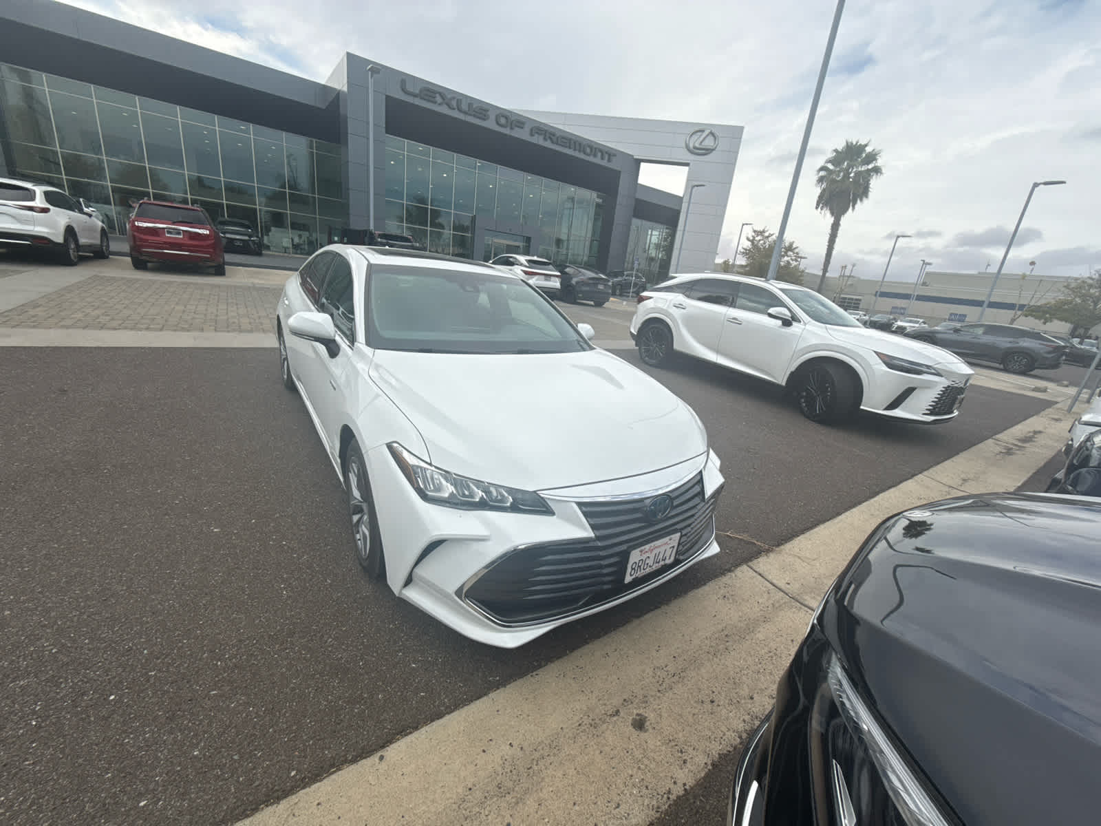 2020 Toyota Avalon Hybrid XLE