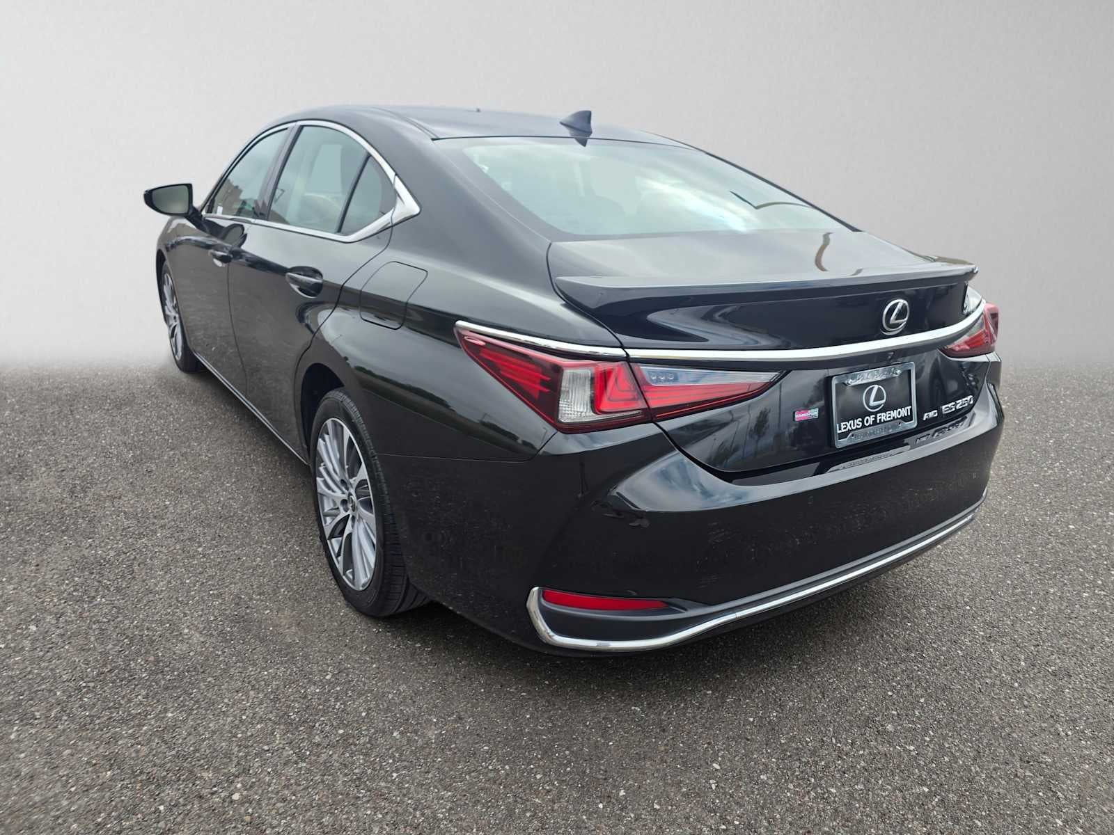 2021 Lexus ES 250 AWD ES 250