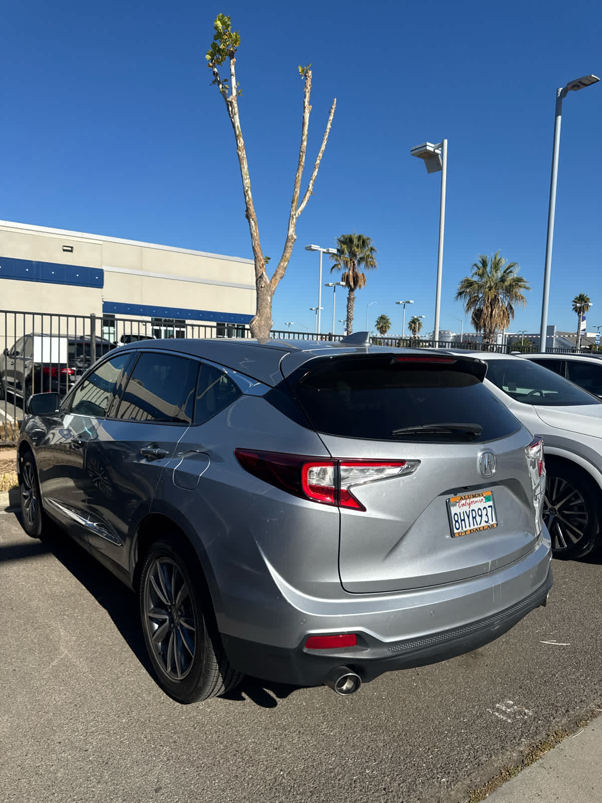 2019 Acura RDX w/Technology Pkg