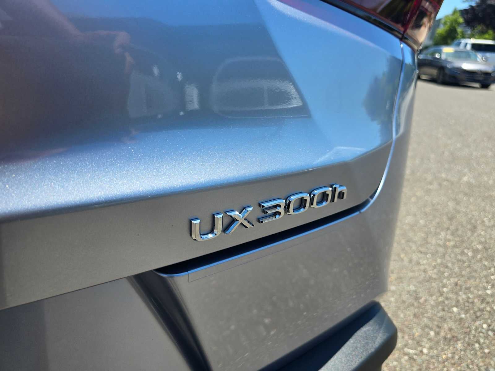 2025 Lexus UX 300h UX 300h