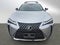 2025 Lexus UX 300h UX 300h