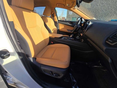 2023 Lexus NX NX 250