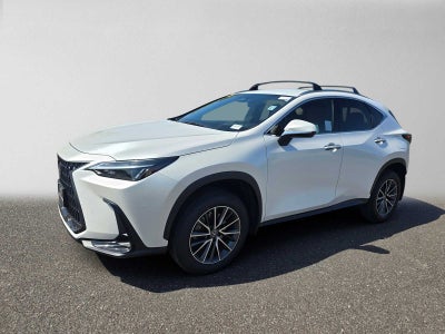 2023 Lexus NX 250 AWD