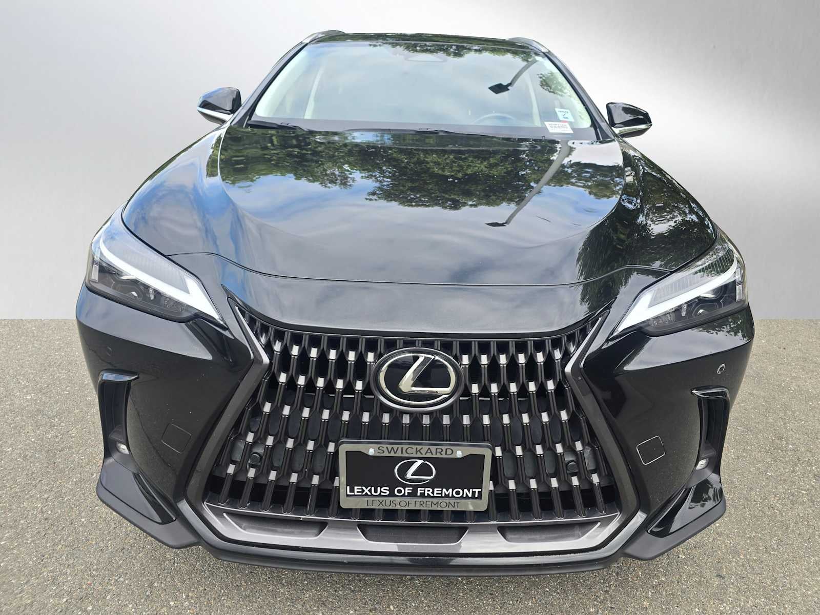 2024 Lexus NX 350h PREMIUM
