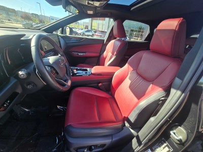 2024 Lexus NX 350h PREMIUM