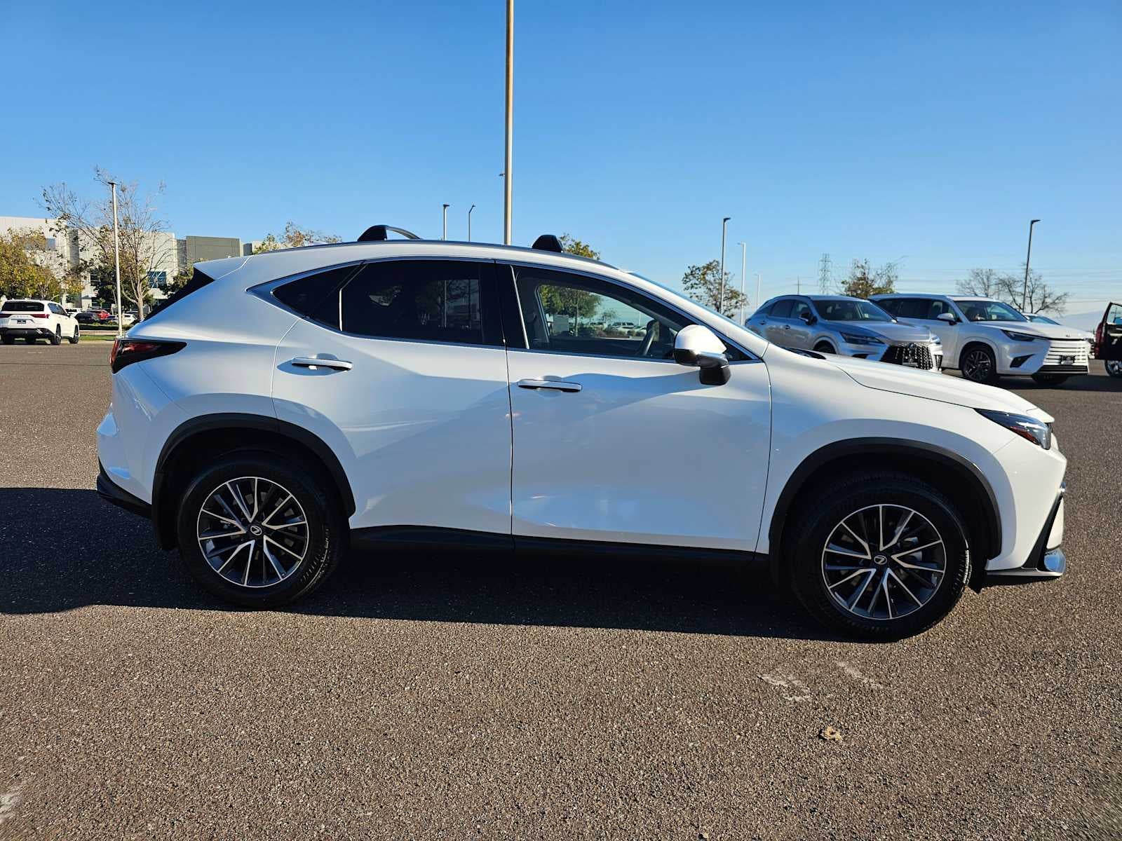 2026 Lexus NX 350h PREMIUM