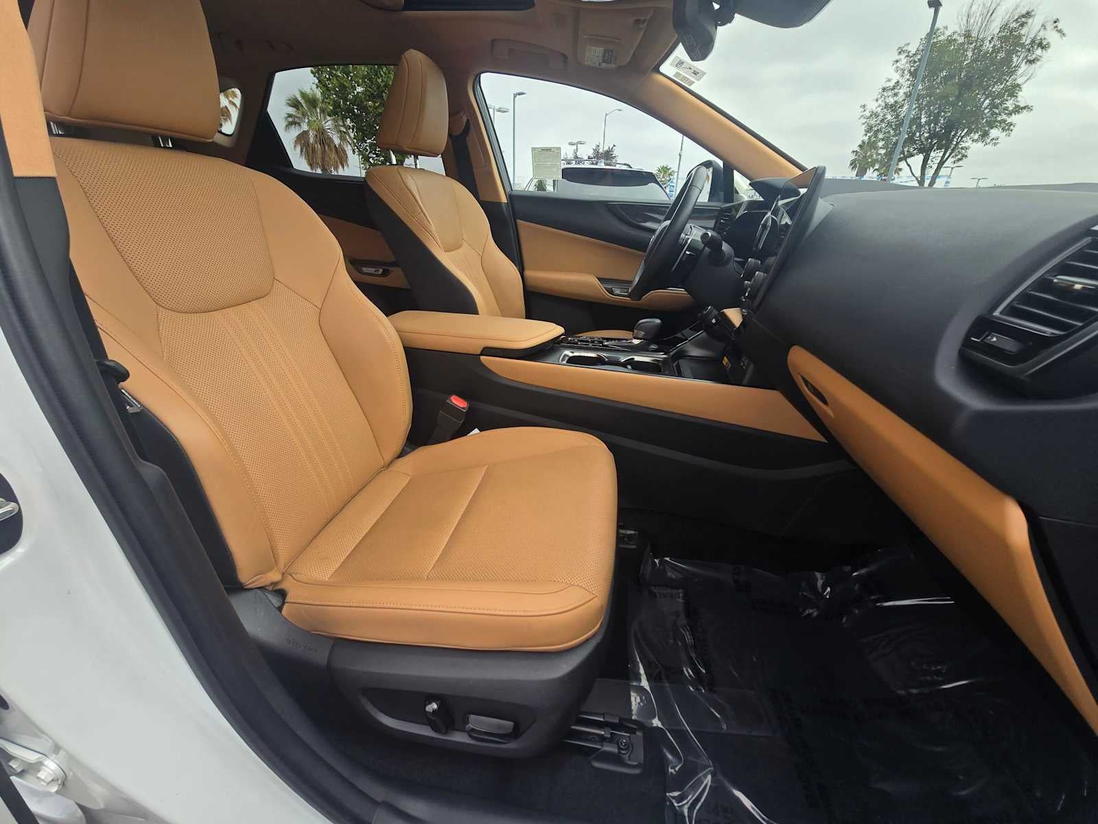 2024 Lexus NX 350h PREMIUM