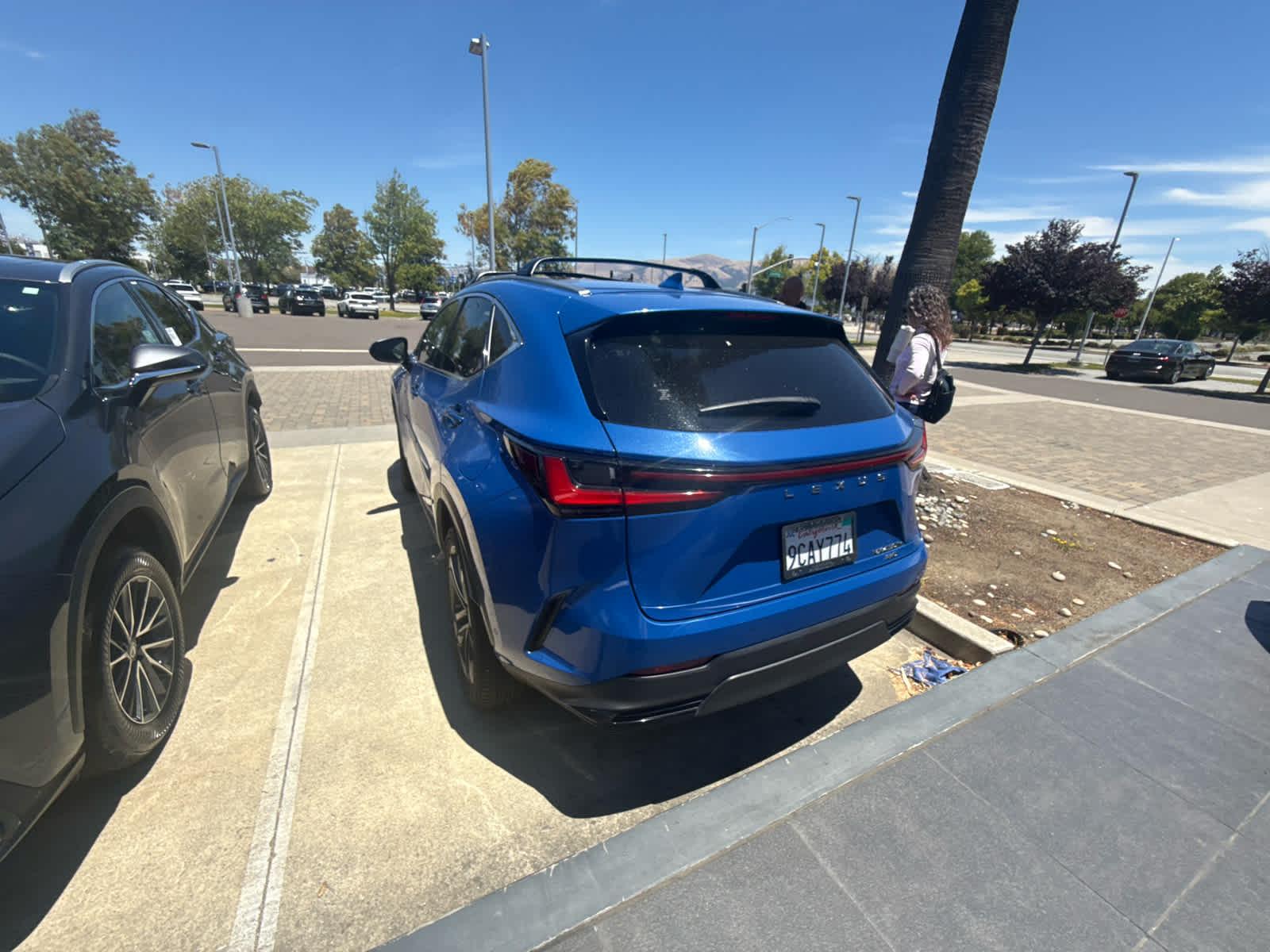 2022 Lexus NX 450h PLUS Luxury
