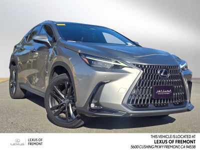 2025 Lexus NX Luxury