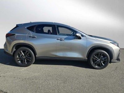 2025 Lexus NX Luxury