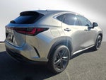 2025 Lexus NX Luxury