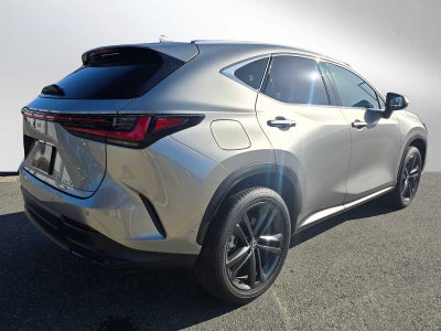 2025 Lexus NX Luxury